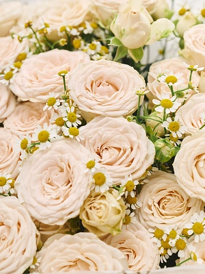 Дуобукет из кустовой розы иSophie с ромашками